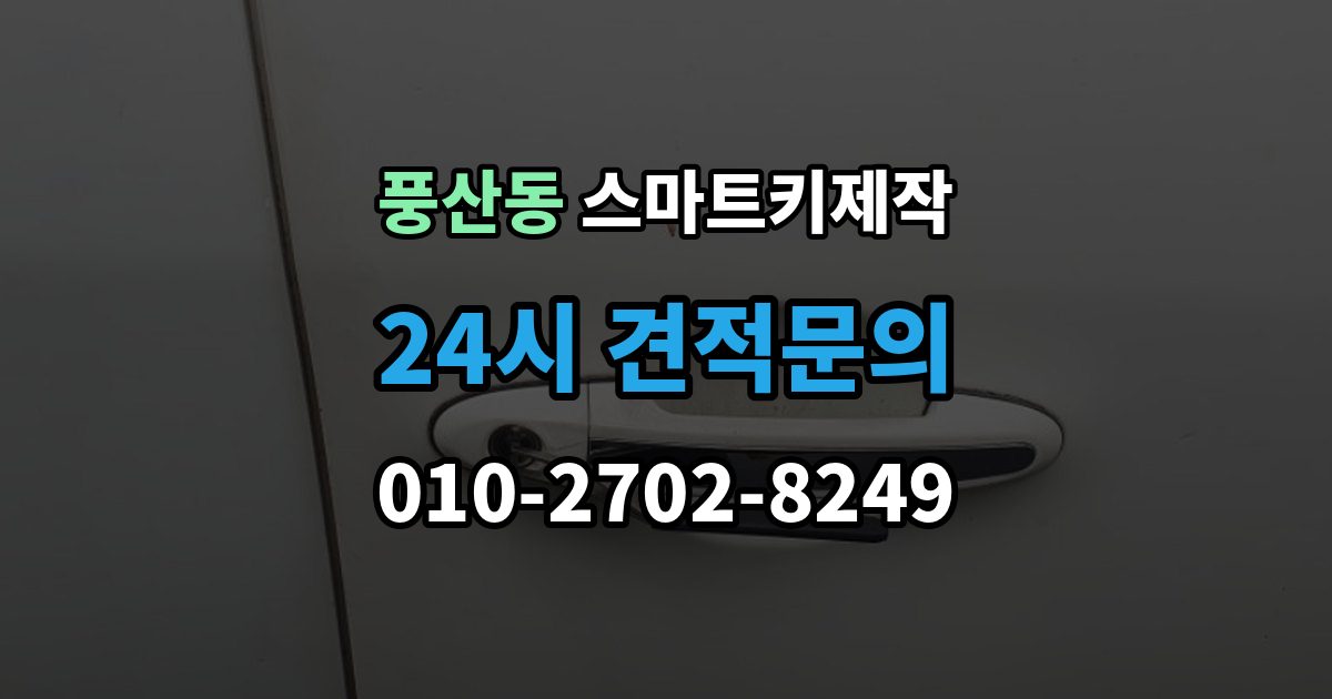 풍산동 스마트키 제작 출장 안내 - 주차장 방문 서비스로 가능한 작업과 한계