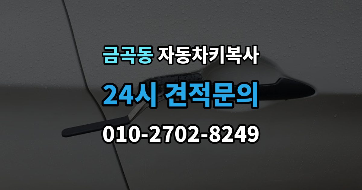화성시 동탄구 금곡동 자동차키 복사 도어키와 리모콘 기능을 함께 볼 때