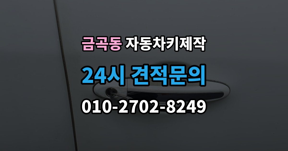 화성시 동탄구 금곡동 자동차키 제작 출장 안내 - 스마트키 호환성을 확인하는 기준