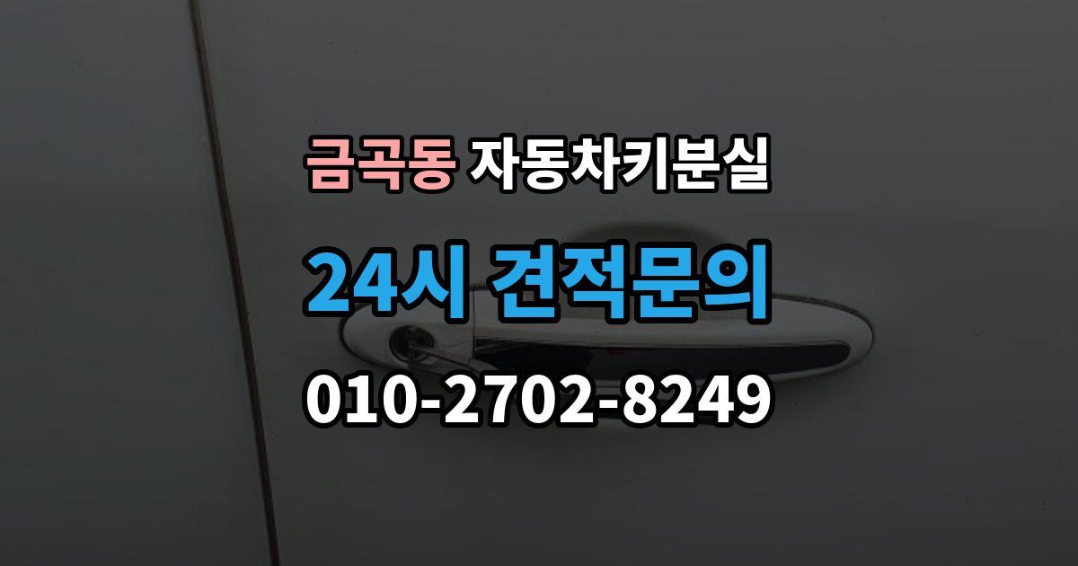 화성시 동탄구 금곡동 차 키 잃어버렸을 때 택시에 두고 내렸을 때 확인할 것