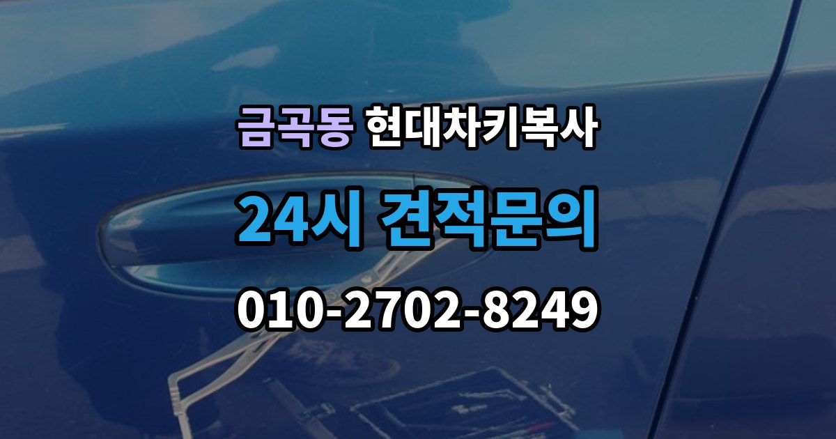 화성시 동탄구 금곡동 현대 차키 복사 열쇠 모양이 같아도 작동이 다른 사례들