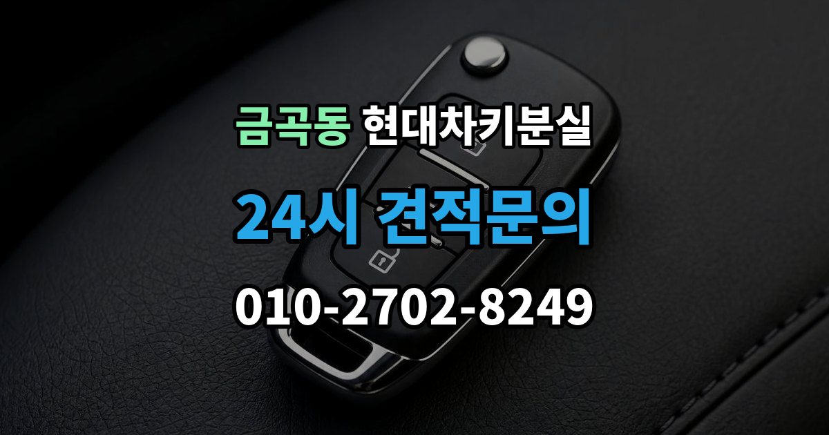 화성시 동탄구 금곡동 현대 차키 분실 딜러센터와 전문업체 진행 방식 비교