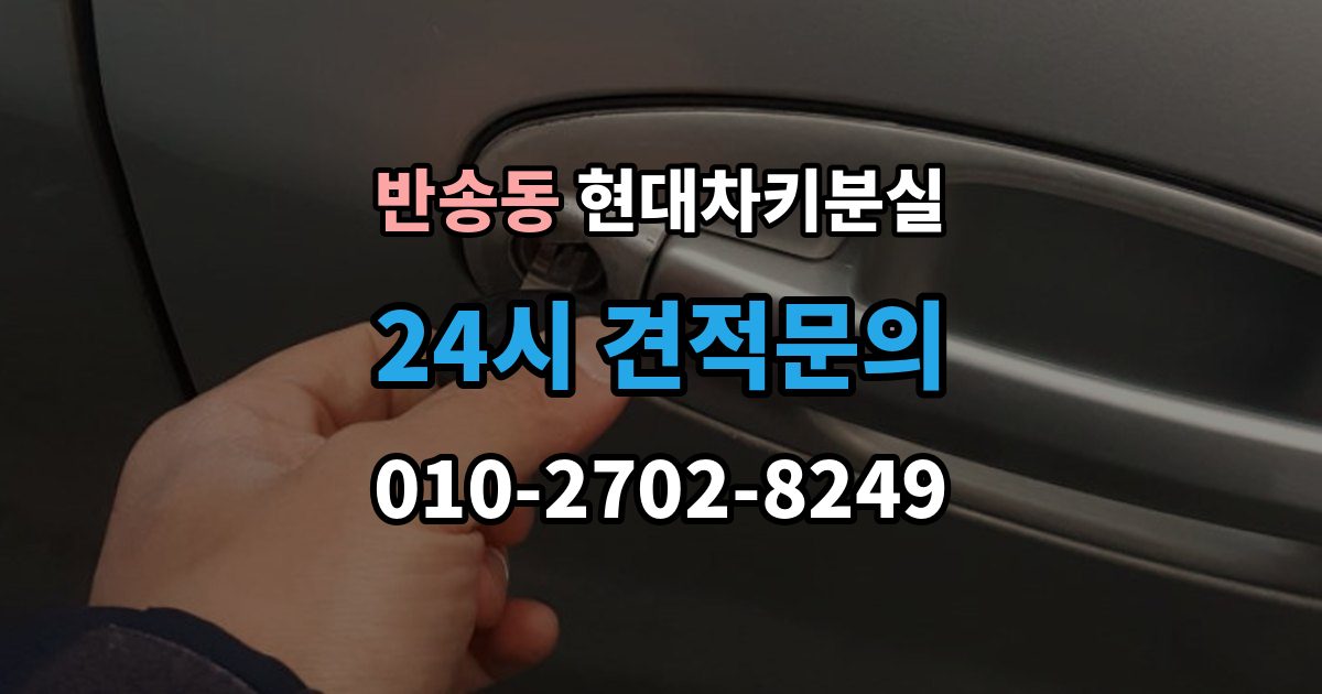 화성시 동탄구 반송동 현대 차키 분실 디지털키 연동 모델과 확인 범위 정리