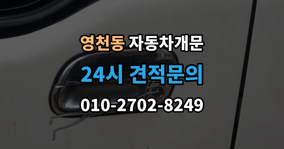 화성시 동탄구 영천동 자동차 문 잠김 리모컨 오작동과 실제 잠김 구분하기