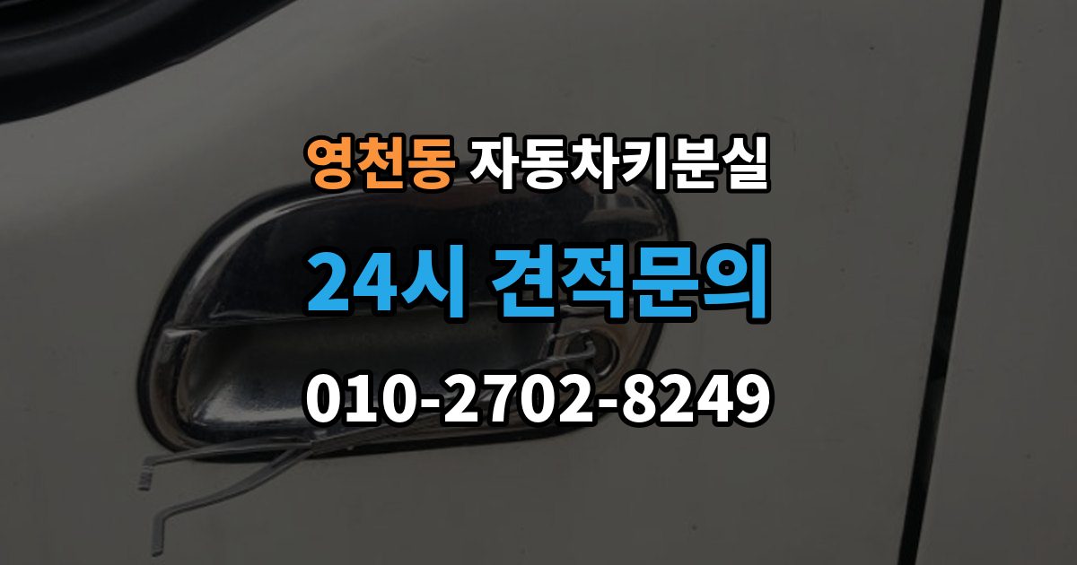 화성시 동탄구 영천동 자동차키 분실 출장 안내 - 보험사와 업체에 물어볼 질문