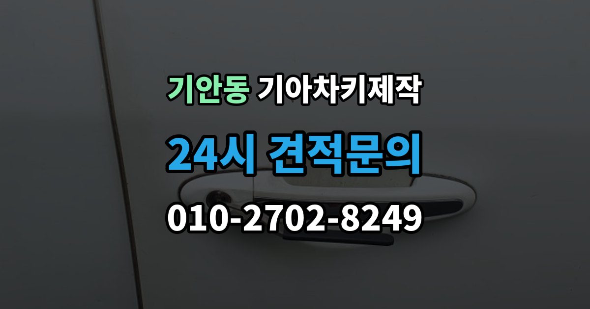 기안동 기아 차키 제작 출장 안내 - 완료 뒤 문열림 버튼 반응 확인 포인트