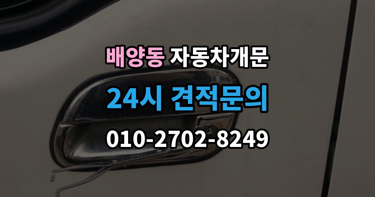 배양동 자동차 문 잠김 출장 안내 - 차량 파손 걱정 없이 여는 기준