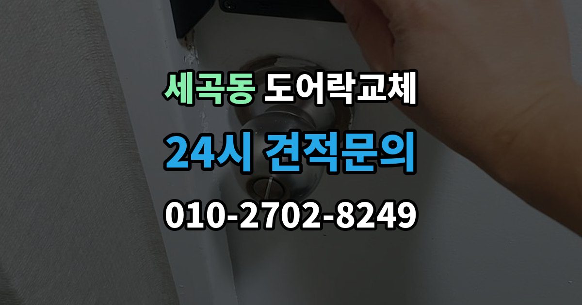 세곡동 도어락 교체 전자식이 처음인 집에 설치 후 안내받을 것