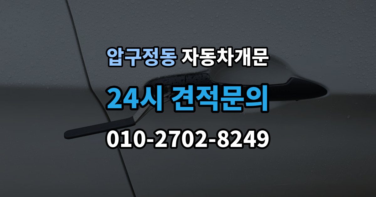 압구정동 차 문 잠겼을 때 아이나 반려동물이 안에 있을 때 우선순위