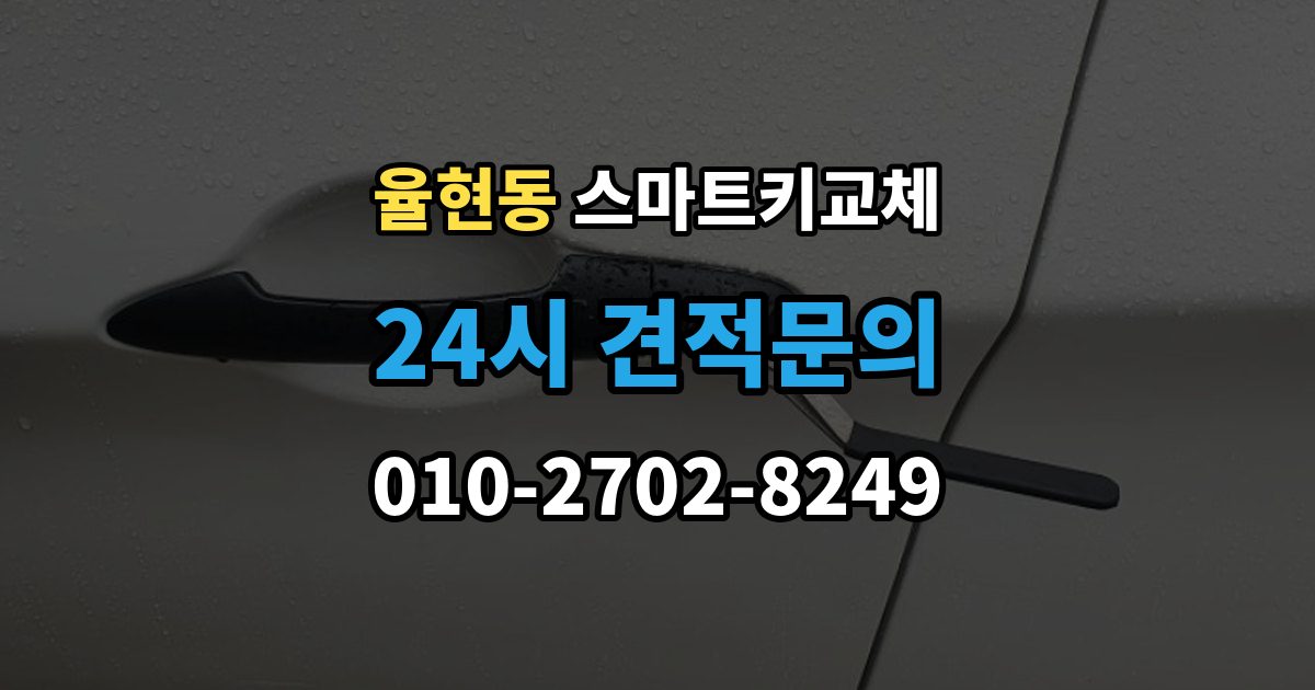 강남구 율현동 스마트키 교체 잠금 상태에서 무리 없이 열어야 할 경우