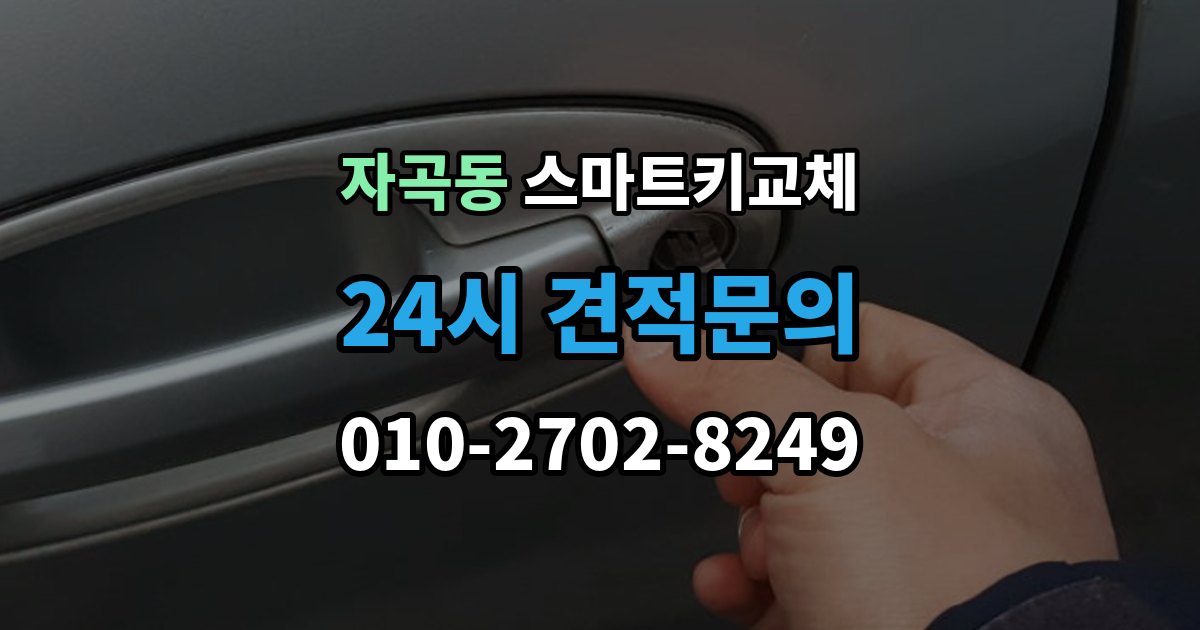 자곡동 스마트키 교체 이모빌라이저 연동 상태 확인하는 법