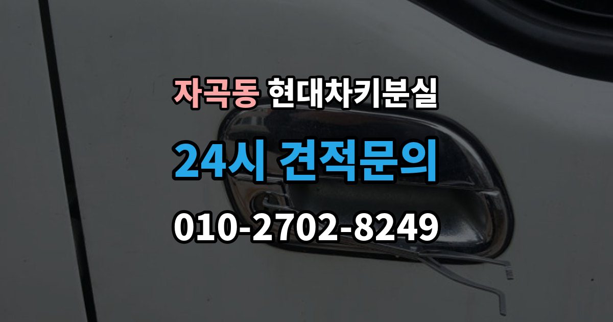 자곡동 현대 차키 분실 출장 안내 - 도어락은 반응하는데 시동이 멎칠 때