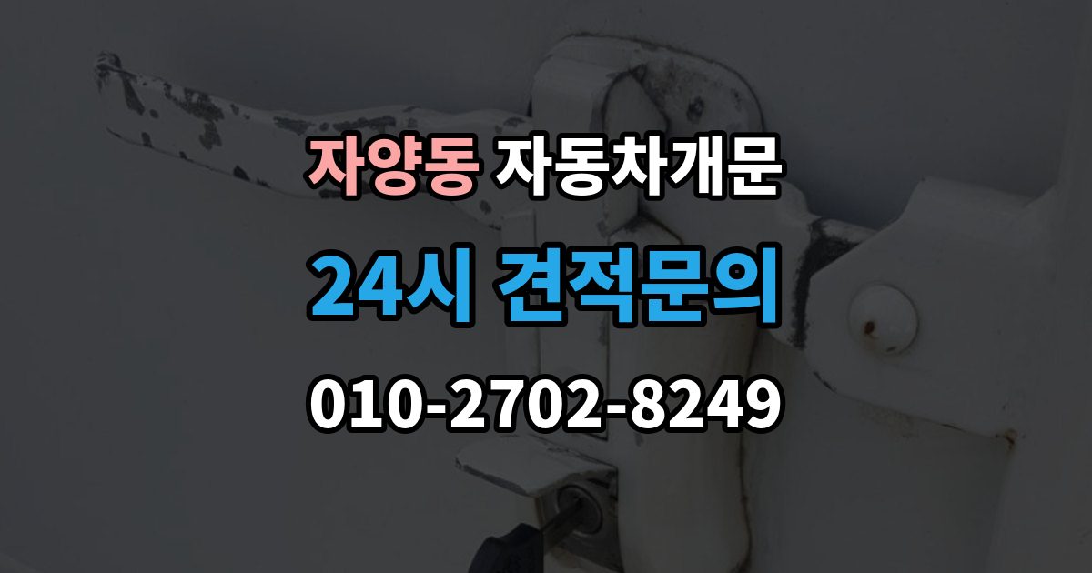 광진구 자양동 차 문 잠겼을 때 차량 안에 열쇠를 두고 내렸을 때 절차