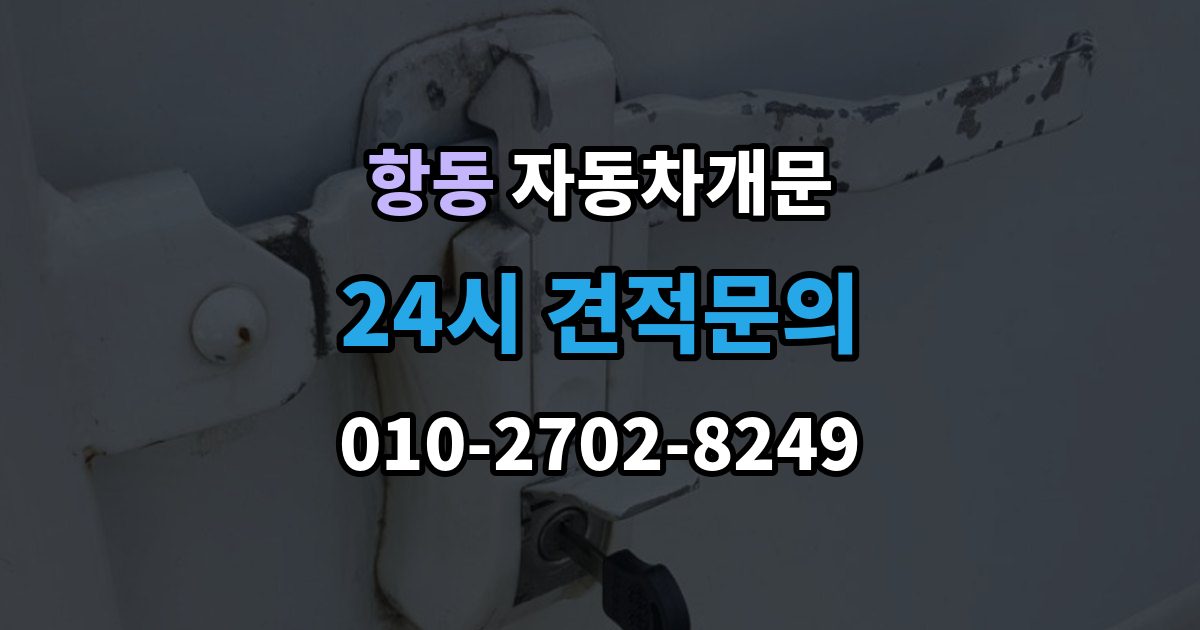 구로구 항동 차 문 잠겼을 때 문은 열려도 시동이 안 걸릴 때 구분법