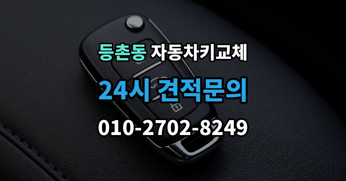 등촌동 자동차키 교체 임시 운행 전 점검할 것