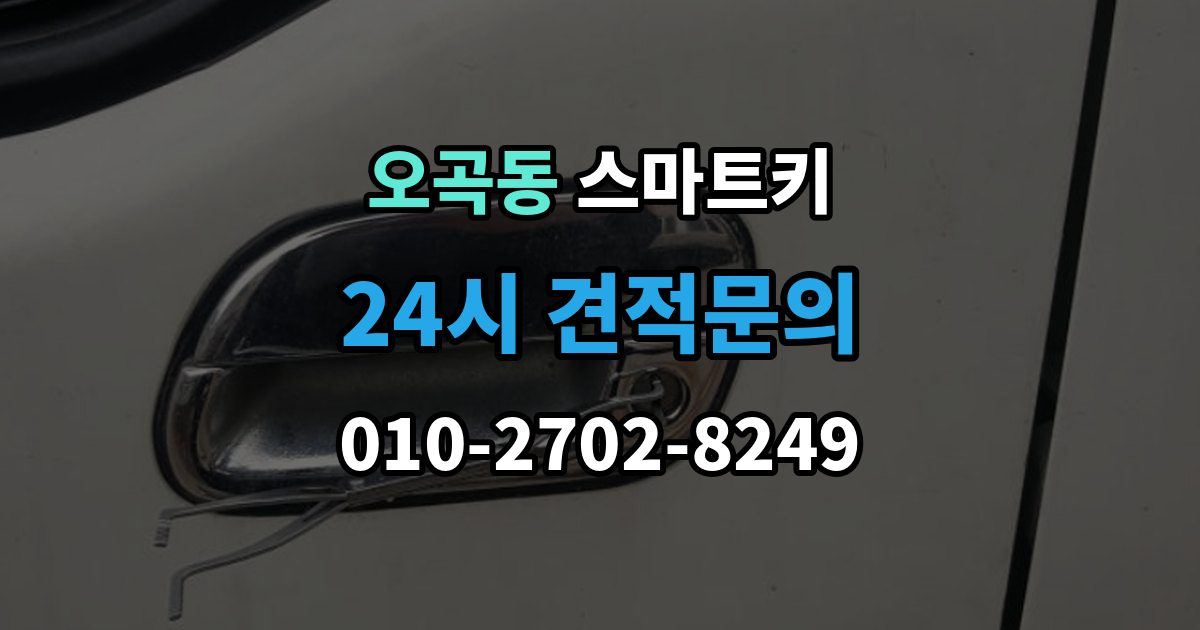 서울 강서구 오곡동 스마트키 배터리 수명 줄이는 습관