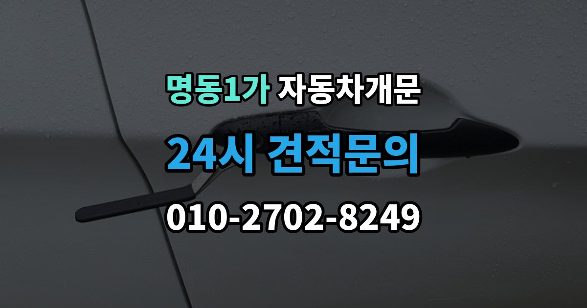 명동1가 자동차 문 잠김 리모컨 오작동과 실제 잠김 구분하기