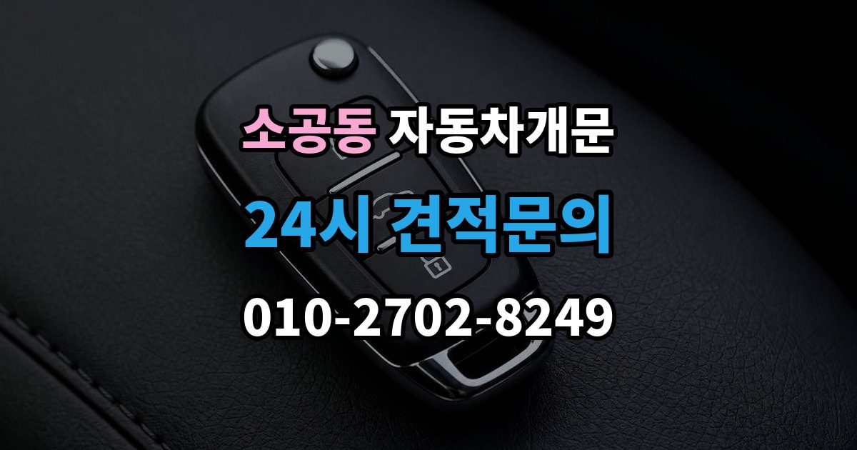 소공동 차 문 잠겼을 때 잠금 해제 후 재발생 방지하는 습관