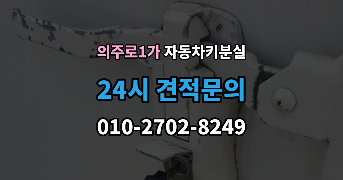 의주로1가 자동차키 분실 문만 열리고 운행이 안 될 때 살펴볼 부분