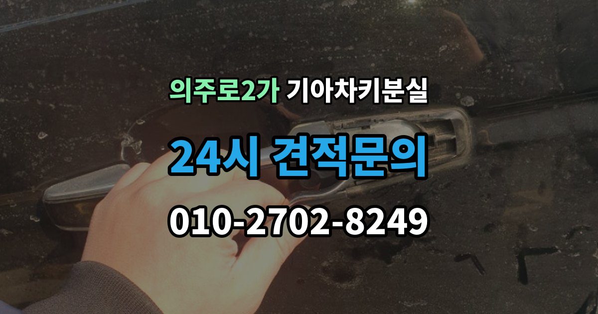 의주로2가 기아 차키 분실 앱에 차량이 안 보일 때 살펴볼 설정