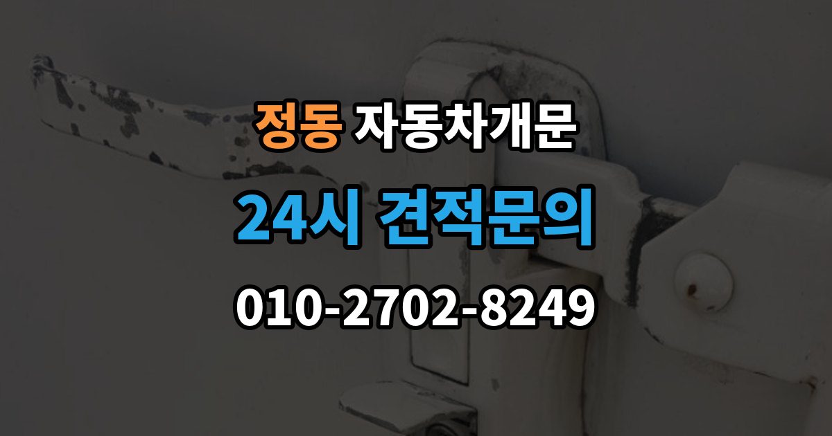 서울 중구 정동 차 문 잠겼을 때 보험사 긴급출동과 전문업체 비교