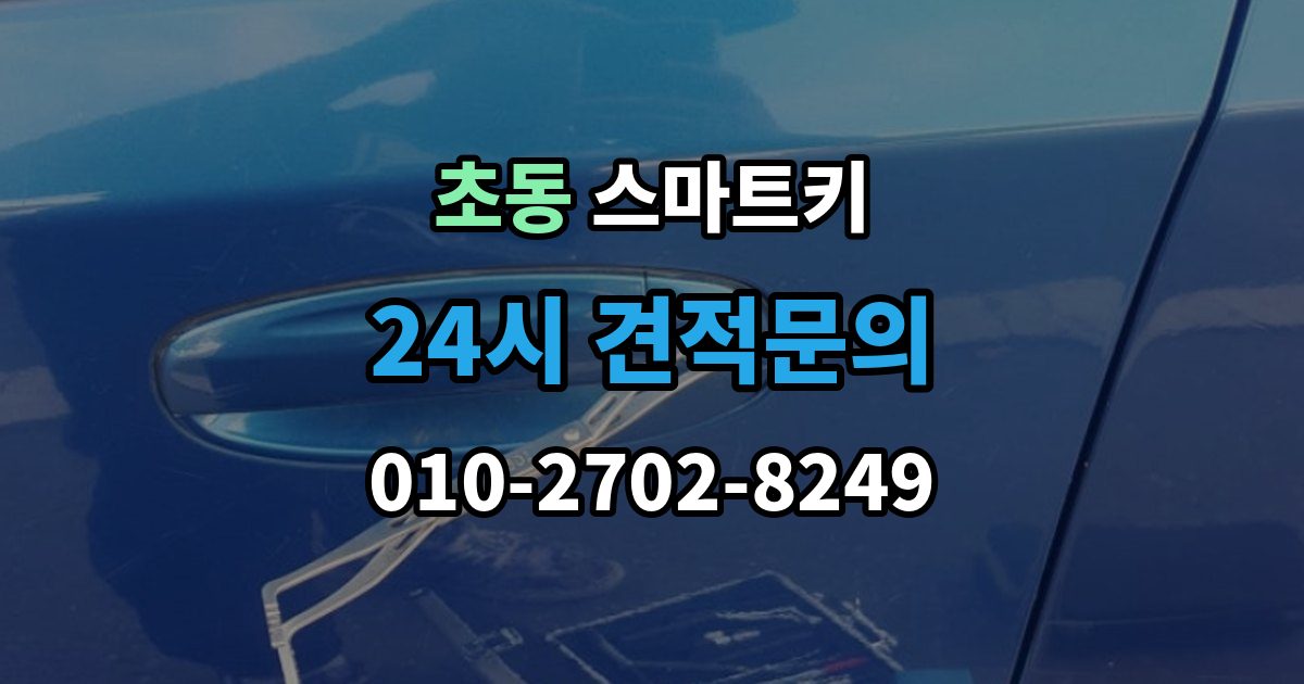 초동 스마트키 구매 전 차종 호환성을 점검하는 방법