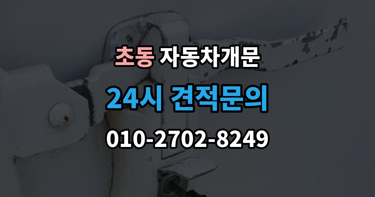 초동 차 문 잠겼을 때 잠금 해제 후 재발생 방지하는 습관