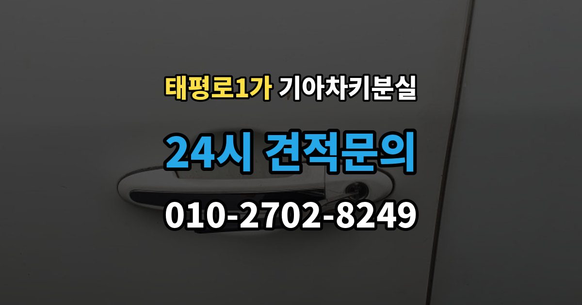 서울 중구 태평로1가 기아 차키 분실 주차장과 집 안에서 많이 놓치는 장소