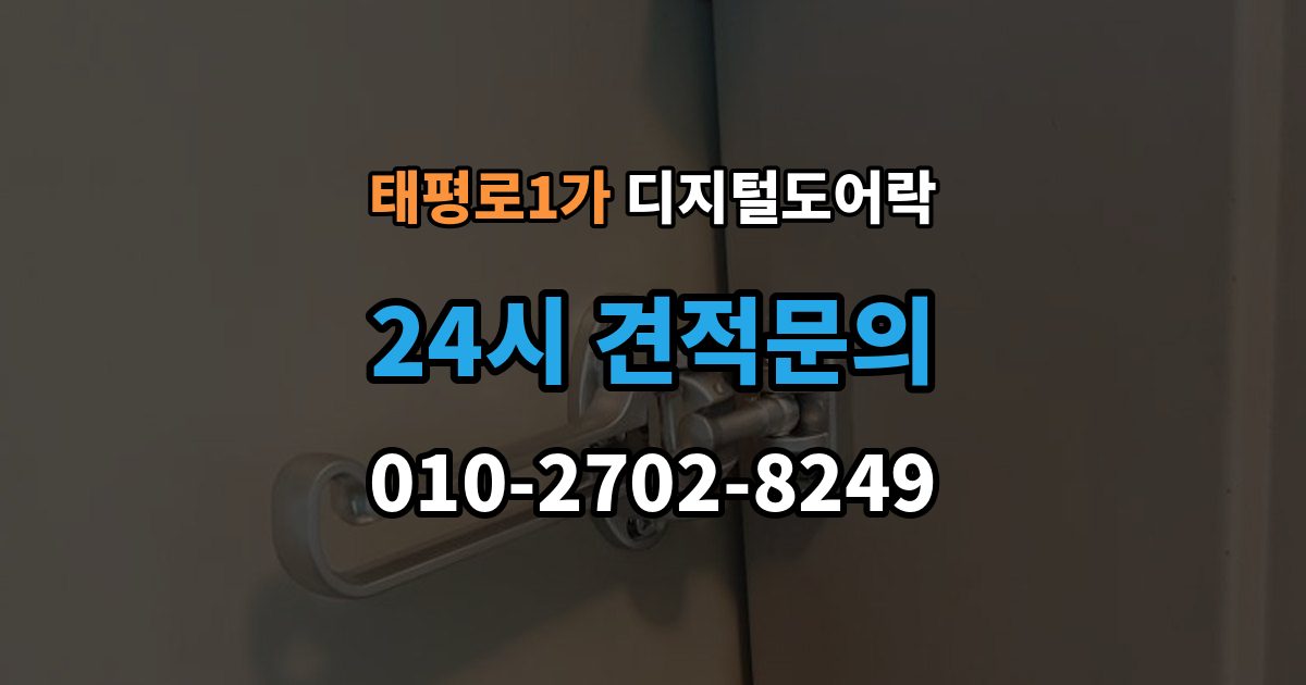 서울 중구 태평로1가 디지털 도어락 자가 설치 가능 여부