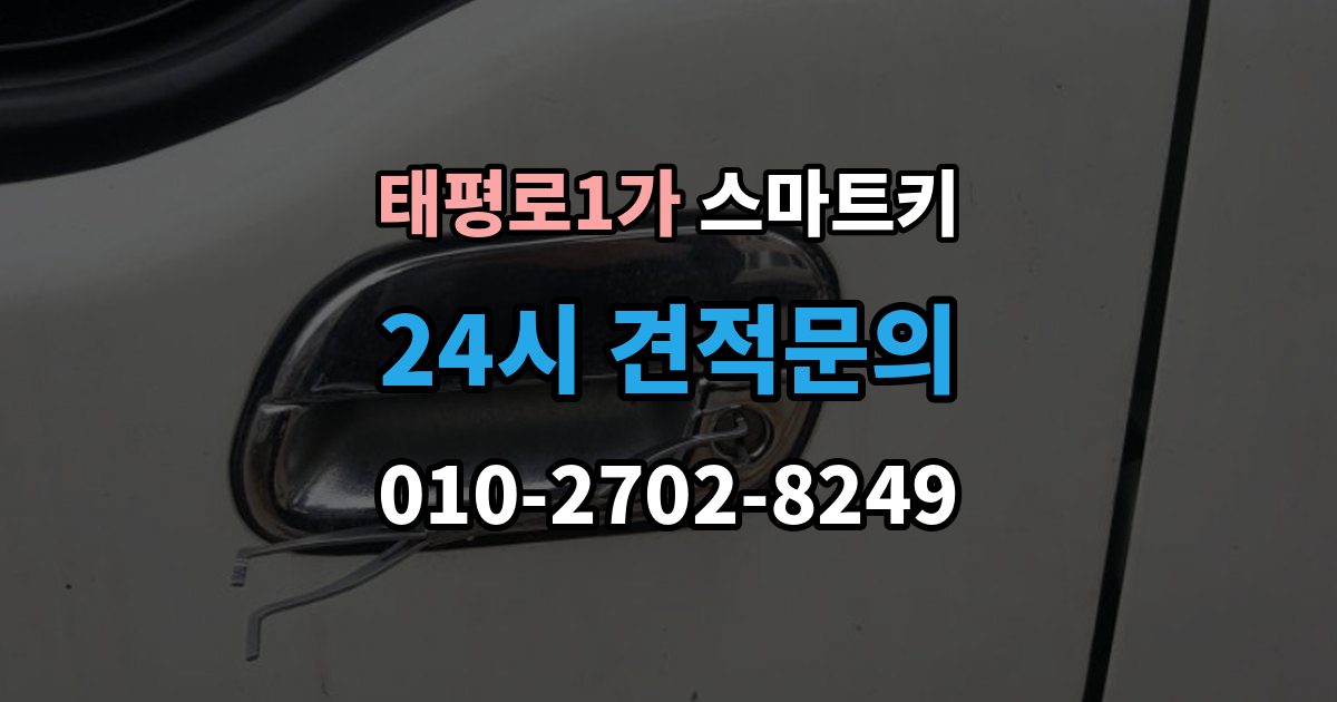 서울 중구 태평로1가 스마트키 사용 중 자주 생기는 불편