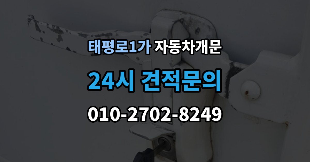 서울 중구 태평로1가 자동차 문 잠김 장기 주차 중 발생했을 때 확인할 것