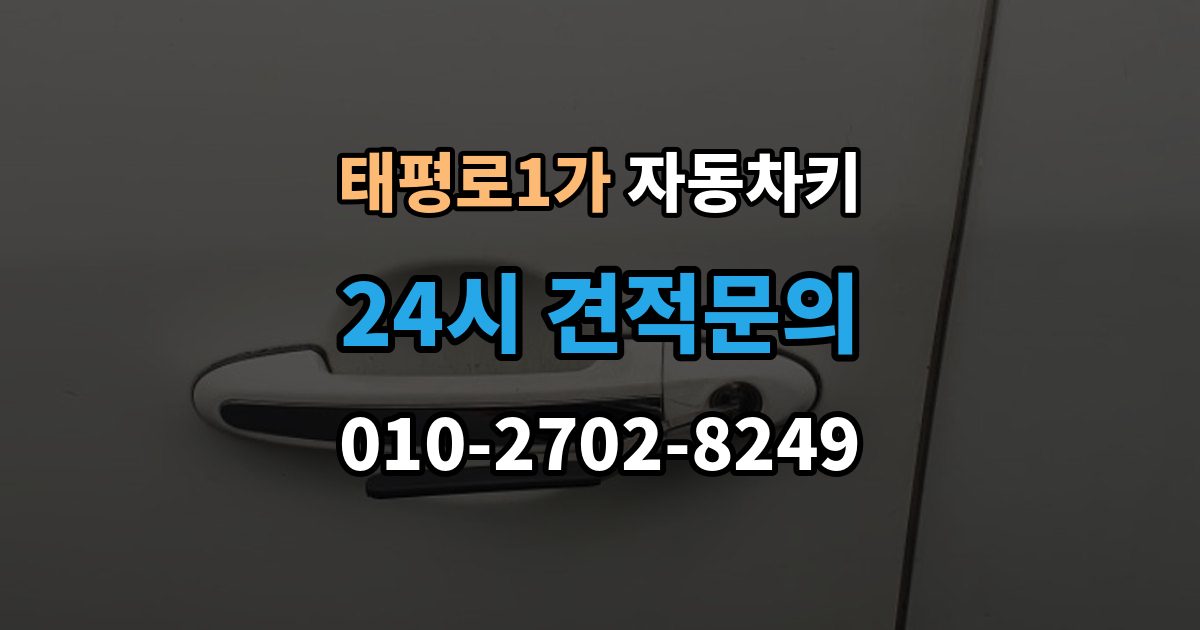 서울 중구 태평로1가 자동차키 이모빌라이저가 맞지 않을 때 증상과 대응