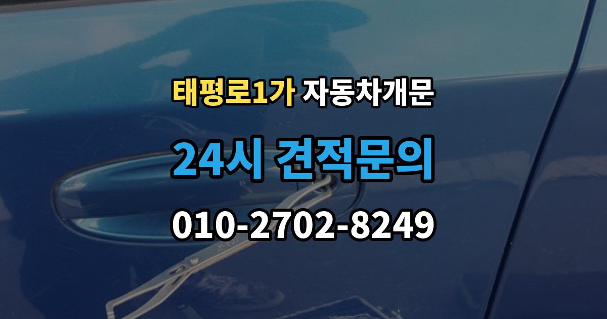 서울 중구 태평로1가 차 문 잠겼을 때 창문이 살짝 열려 있을 때 대처법