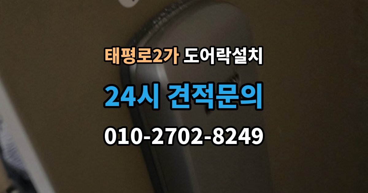 서울 중구 태평로2가 도어락 설치 침입 대응을 고려한 보조 기능 체크포인트