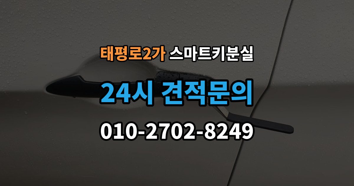 서울 중구 태평로2가 스마트키 분실 버튼 반응이 둔할 때 의심할 원인