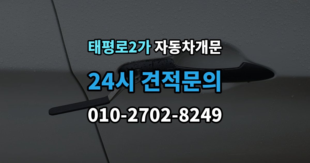 서울 중구 태평로2가 자동차 문 잠김 차량 내부에 사람이 있을 때 우선 조치