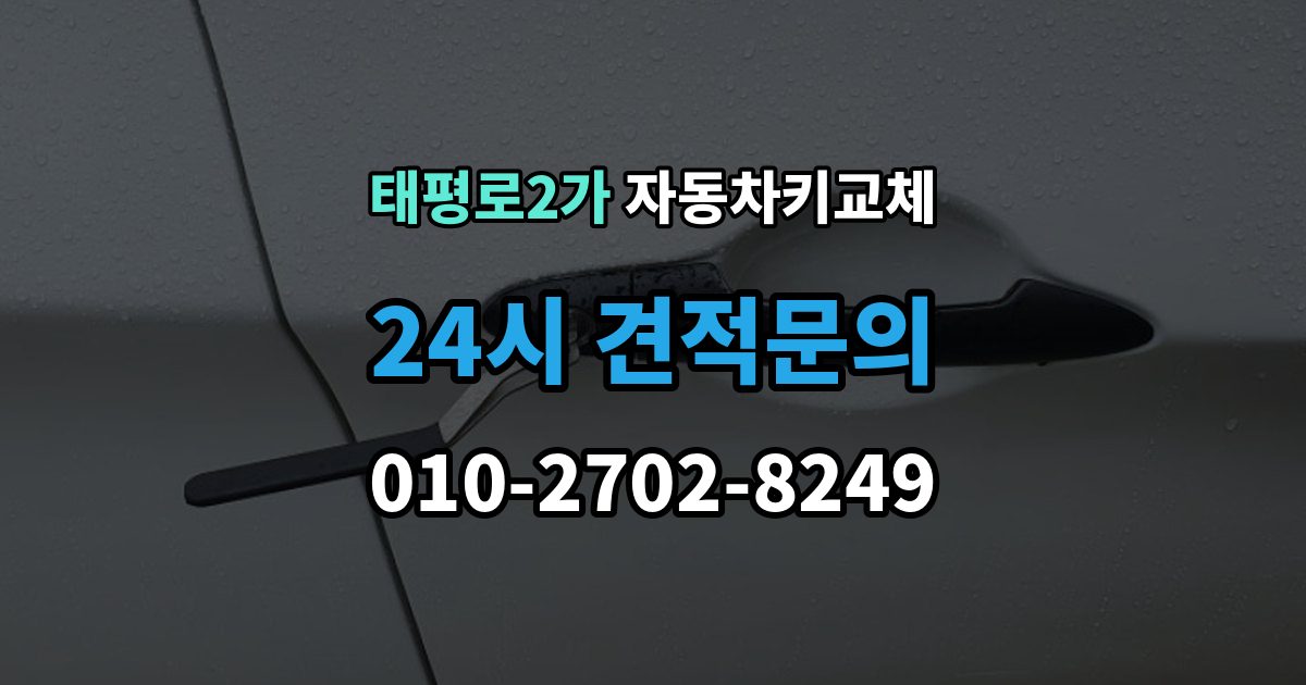 서울 중구 태평로2가 자동차키 교체 열쇠공 선택할 때 보는 항목