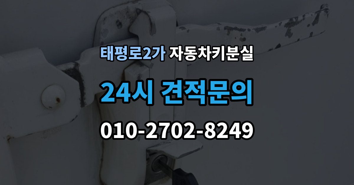 서울 중구 태평로2가 자동차키 분실 새로 맞출 때 확인할 옵션