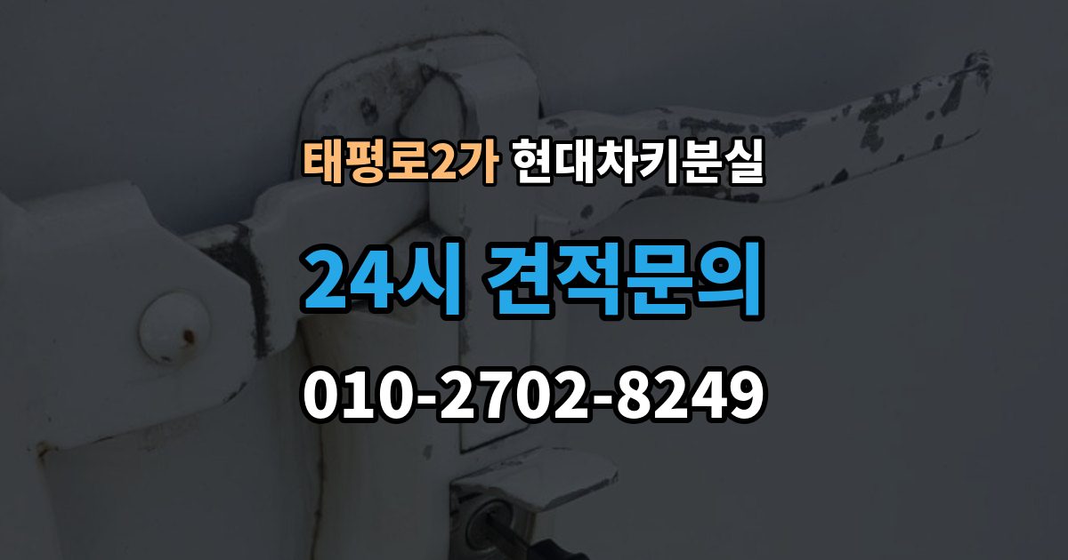 서울 중구 태평로2가 현대 차키 분실 도어락은 반응하는데 시동이 멎칠 때
