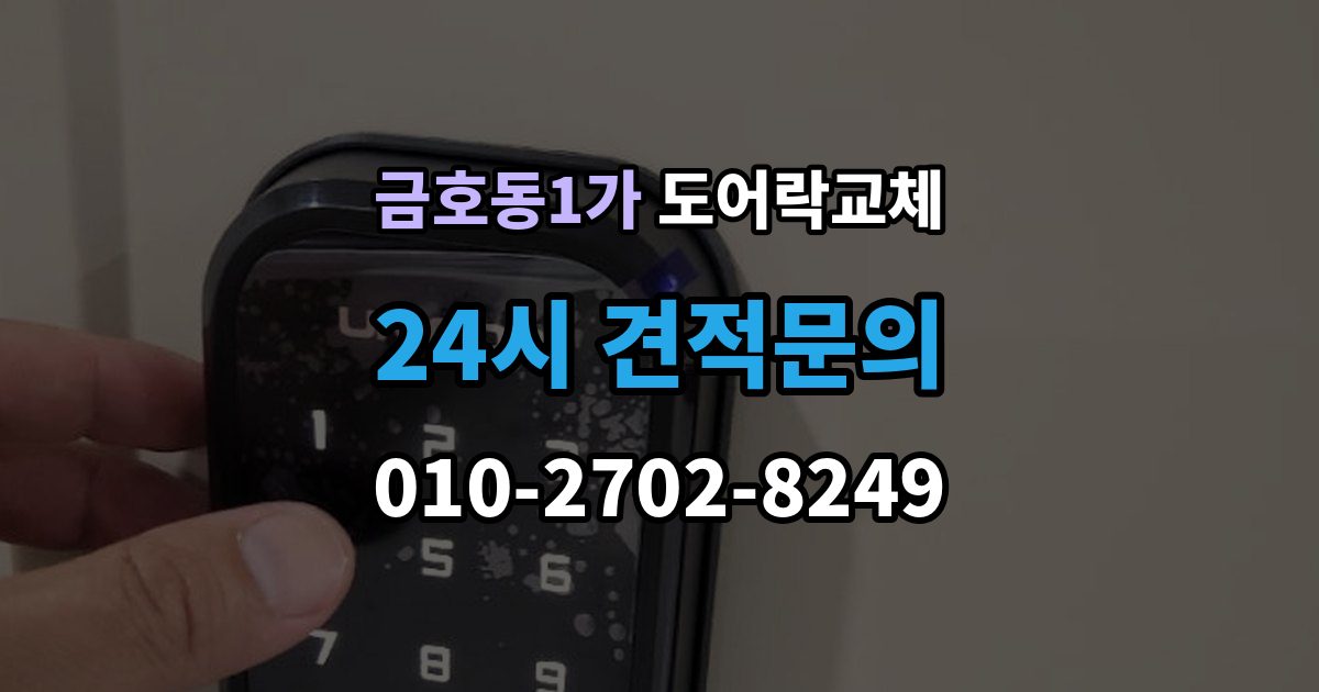 금호동1가 도어락 교체 아이가 열쇠를 자주 잃어버리는 집의 교체 선택