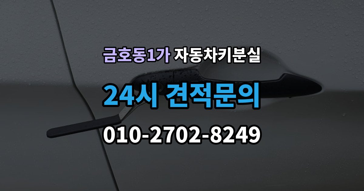 금호동1가 차 키 잃어버렸을 때 차량 번호만으로 진행 가능한지 확인