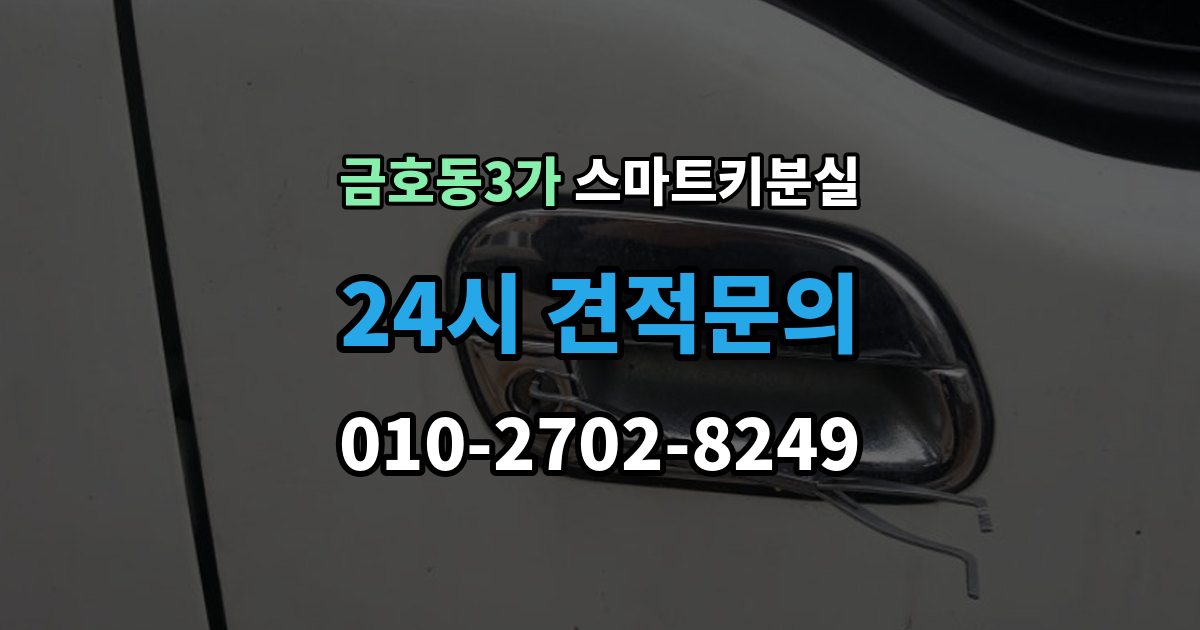 금호동3가 스마트키 분실 예비키 없이 남았을 때 이동 수단부터 생각하기