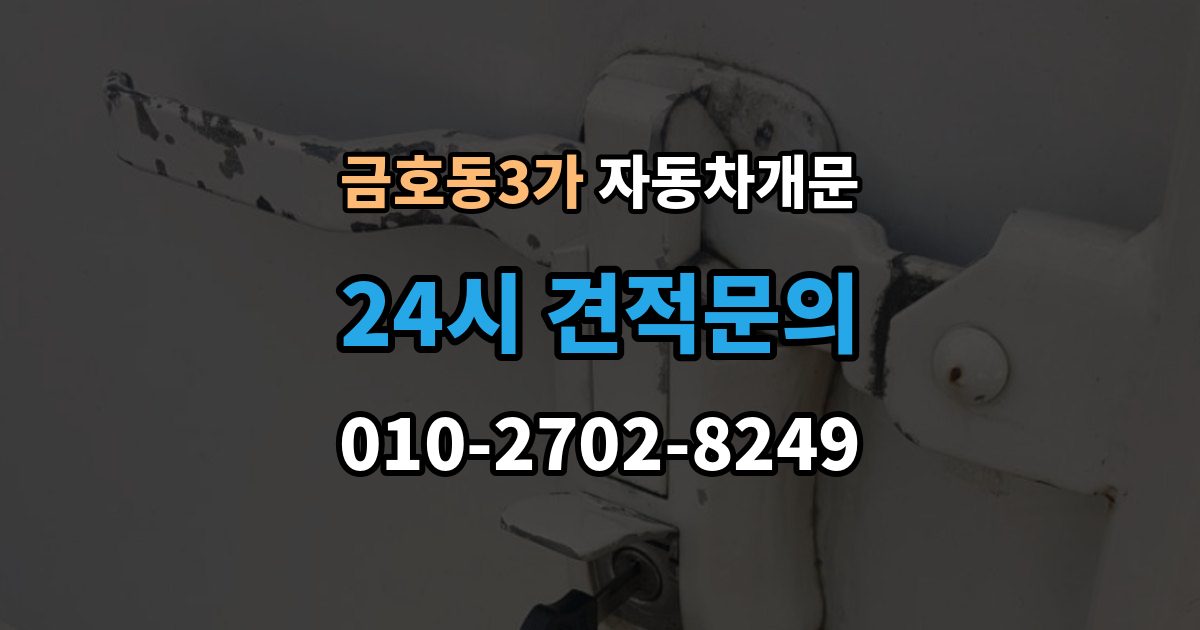 금호동3가 차 문 잠겼을 때 문은 열려도 시동이 안 걸릴 때 구분법