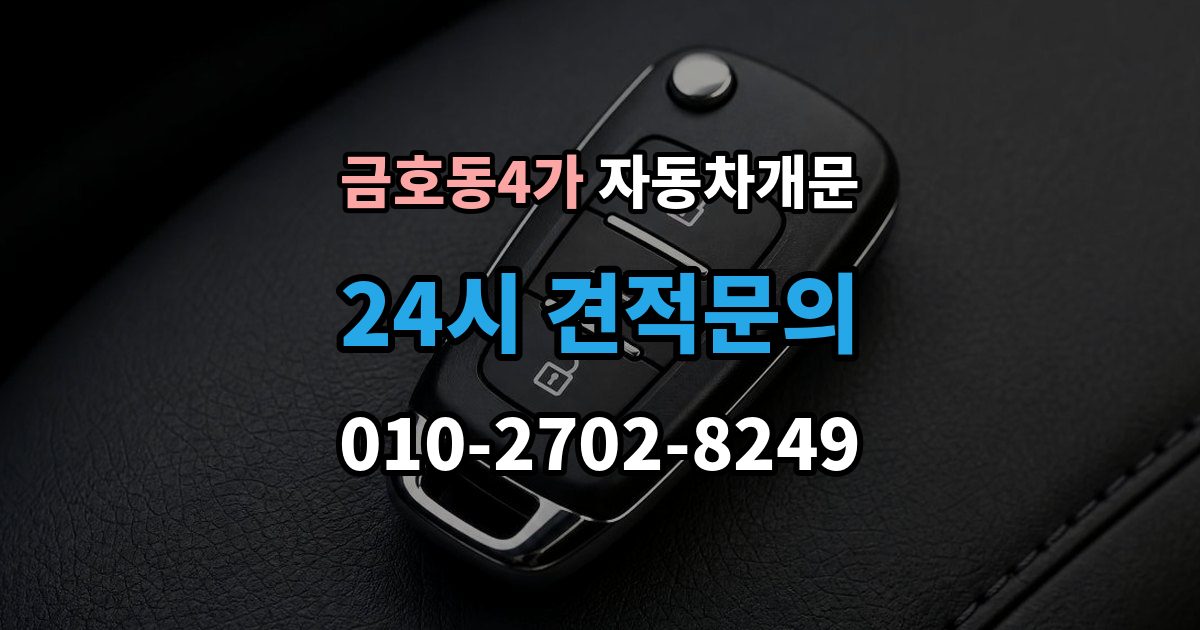 금호동4가 자동차 문 잠김 리모컨 오작동과 실제 잠김 구분하기