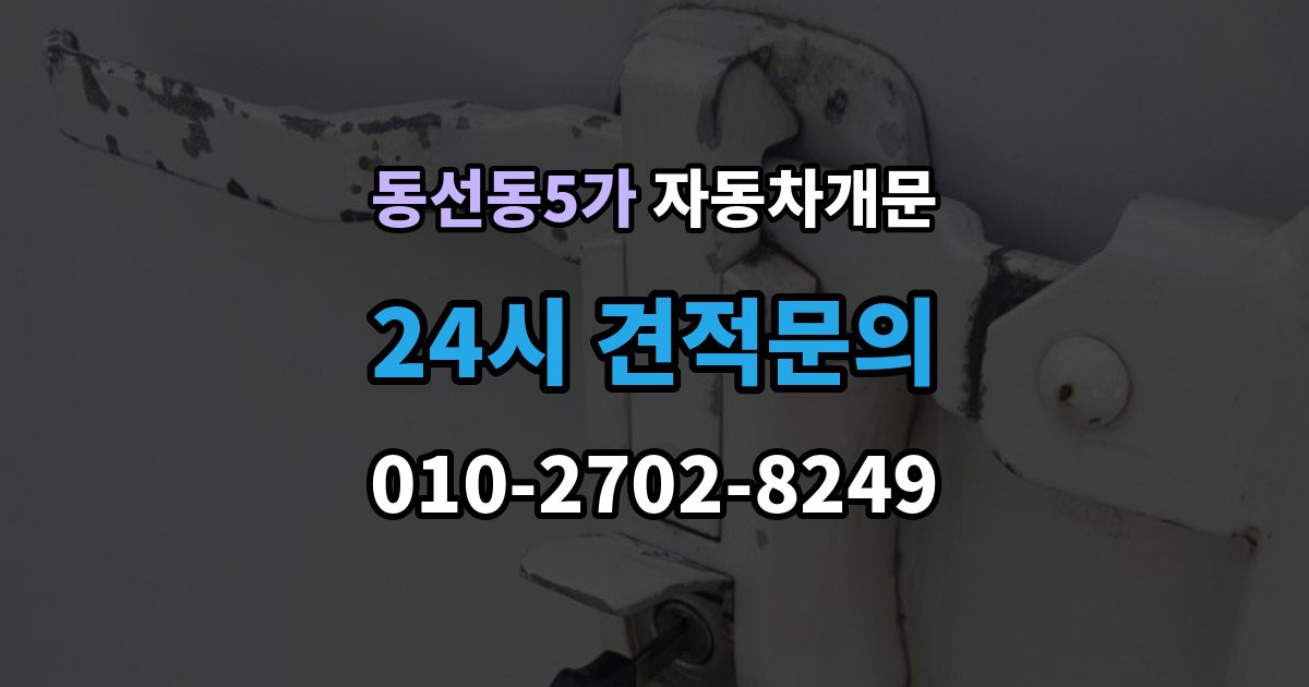 동선동5가 차 문 잠겼을 때 보험사 긴급출동과 전문업체 비교