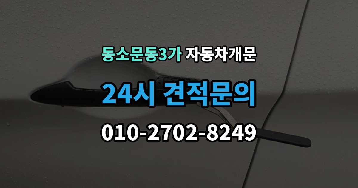 동소문동3가 차 문 잠겼을 때 아이나 반려동물이 안에 있을 때 우선순위
