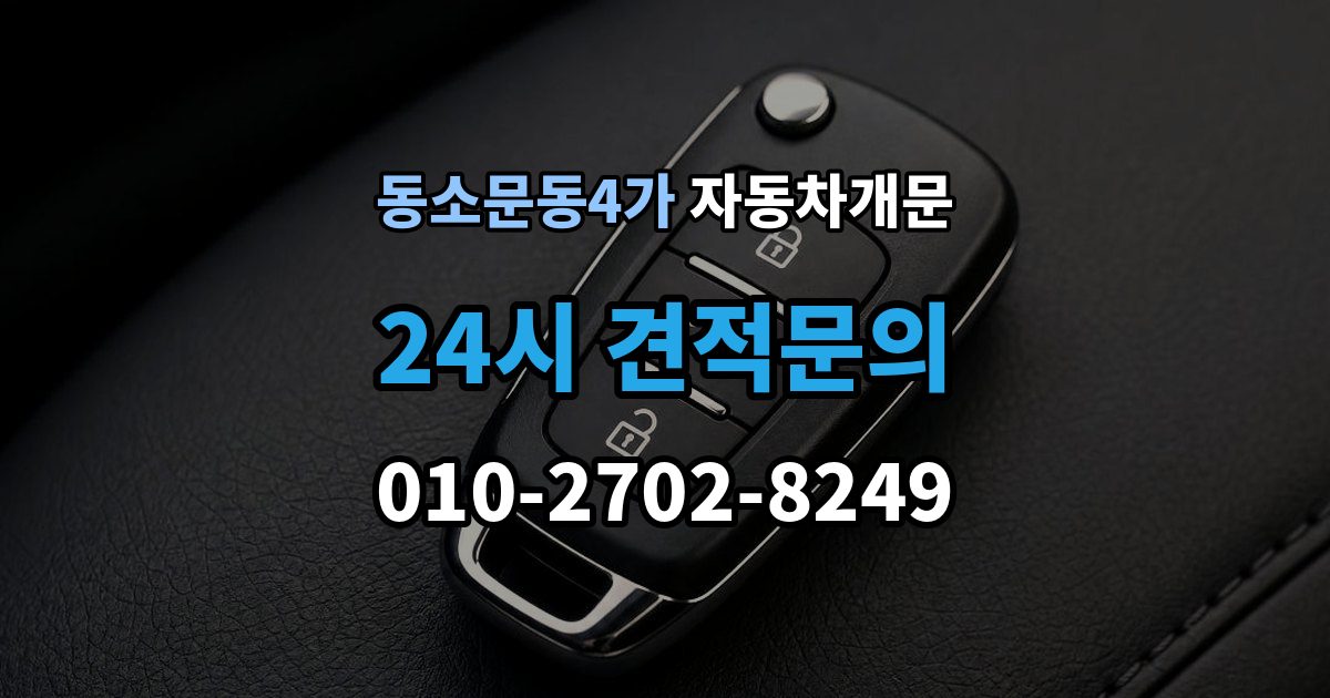 동소문동4가 자동차 문 잠김 리모컨 오작동과 실제 잠김 구분하기