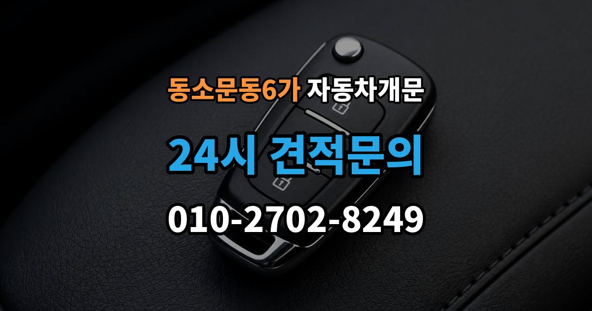 동소문동6가 차 문 잠겼을 때 시동 걸린 채 잠겼을 때 확인할 점