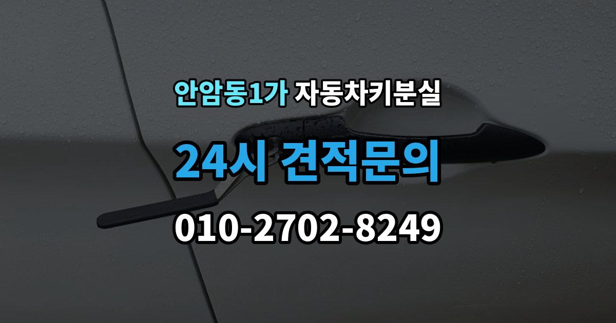 안암동1가 차 키 잃어버렸을 때 택시에 두고 내렸을 때 확인할 것
