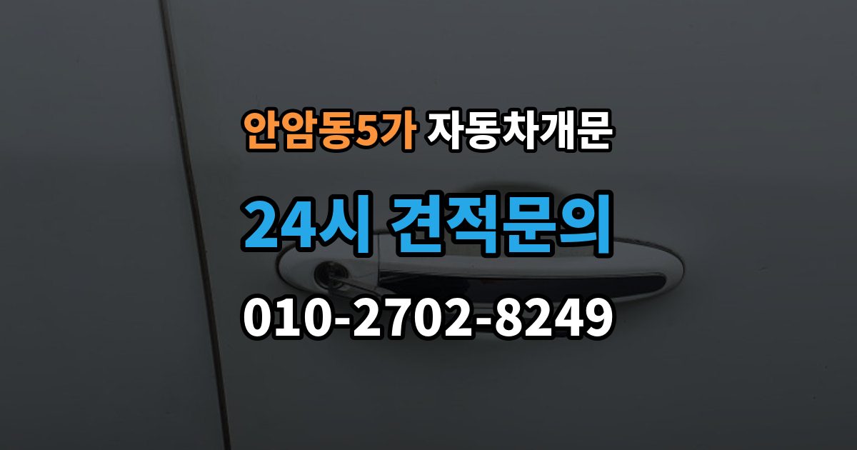 안암동5가 자동차 문 잠김 리모컨 오작동과 실제 잠김 구분하기